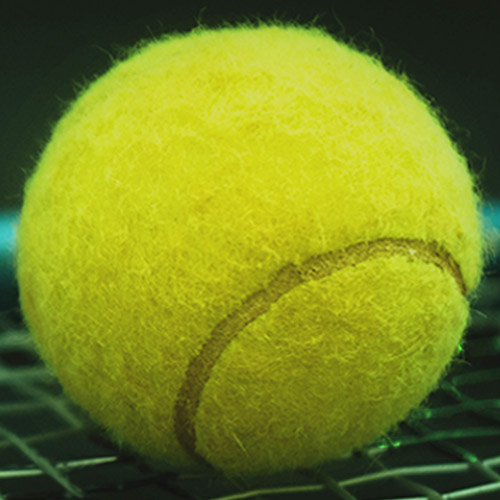 Official Partner atp sonego